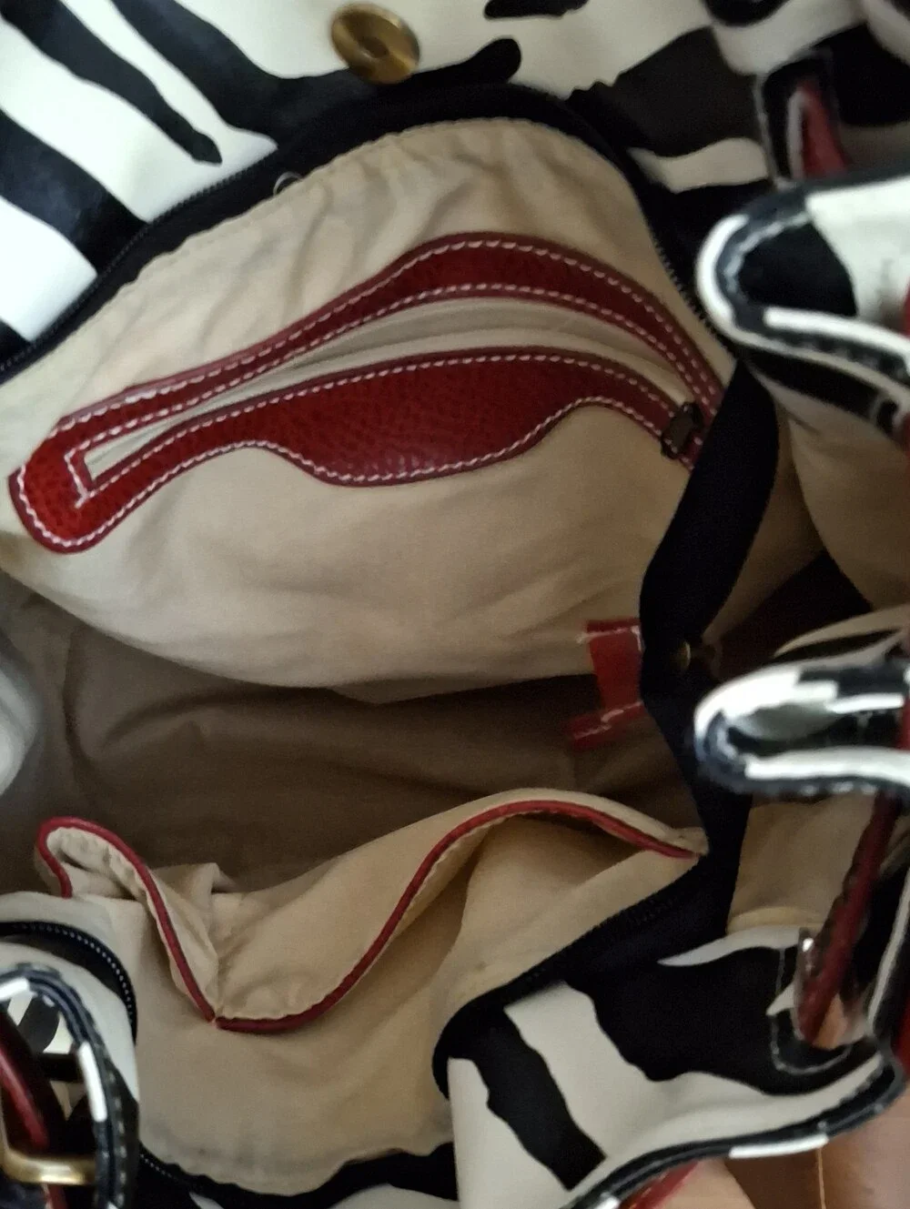 Zebra Print Hobo Bag